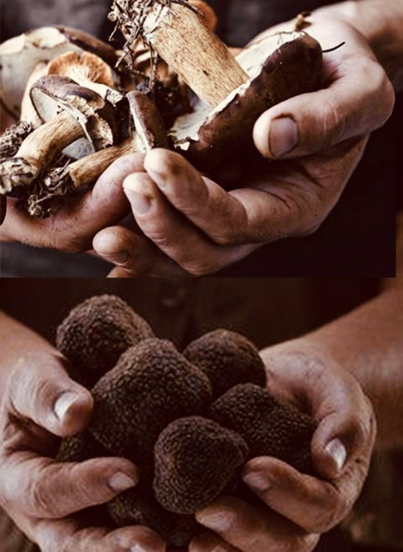 Funghi&Tartufo - giovedì 23 ottobre 2025 ore  20:00